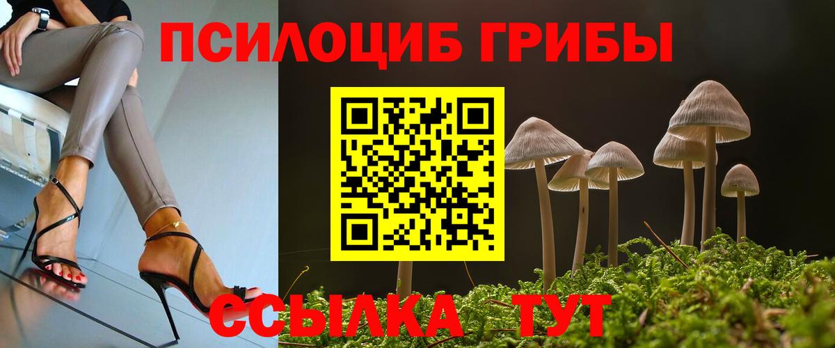 Псилоцибиновые грибы Cubensis  Вход с VPN  Железногорск 